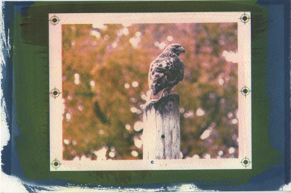 Untitled Untitled
