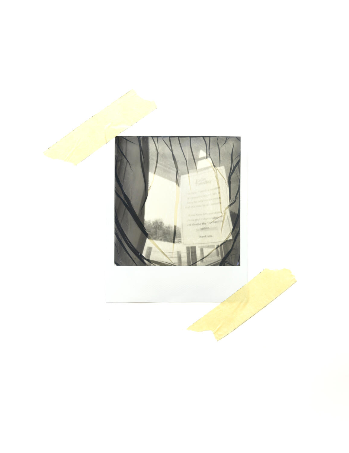 Untitled Untitled